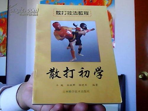 散打基础教学视频,入门必看技巧解析