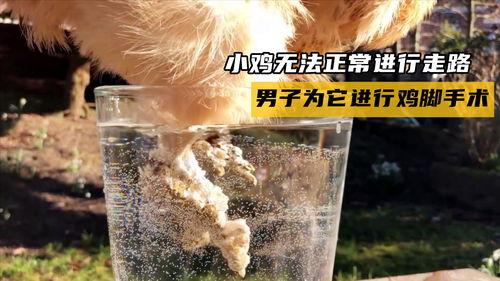 男生小鸡手术视频