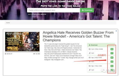 怎么下载youtube视频