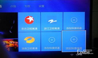 蜜蜂育王视频直播,揭秘蜂群中的神秘女王诞生过程