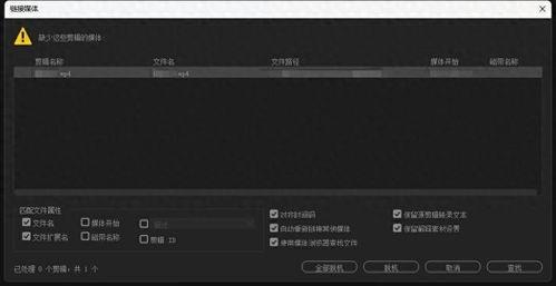 打包视频素材,一窥精彩瞬间背后的制作奥秘