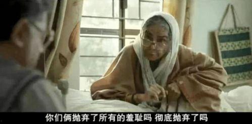 东北老年人性视频免费,传统与现代的碰撞与融合